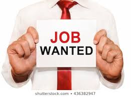 job wanted